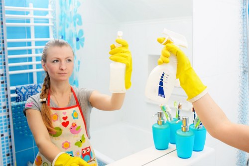 Professional gutter cleaning for Surrey homes and properties