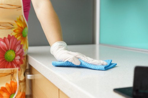 Cleaning professional preparing equipment for a booked service