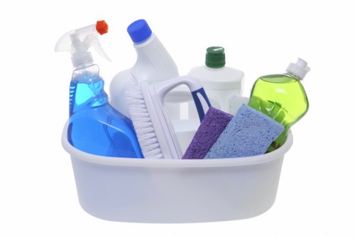 Local domestic cleaner preparing a Surrey home for a regular clean