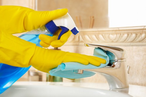 Local Surrey cleaning service for bathrooms and living spaces