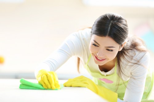 Moss and algae removal from paved outdoor surfaces in Surrey