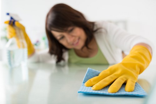 Ongoing housekeeping support for a family property in Surrey