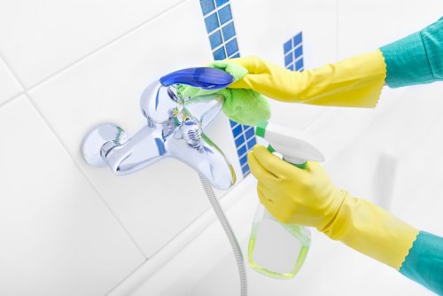 Pet odour removal in a Surrey rental property before new tenants move in