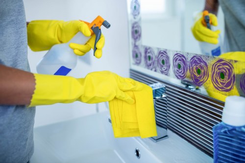 Local Surrey oven cleaning for residential and commercial customers