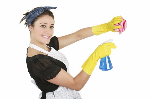 Deep cleaning oven racks and interior surfaces in Surrey