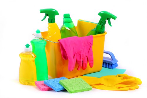 Bathroom tenancy cleaning in a Surrey rental property